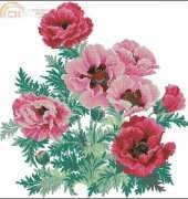 Riolis Premium 100/003 - Poppies - XSD