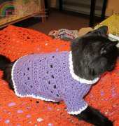 Crafty Ghoul - Starling - Dog or Cat sweater - Free