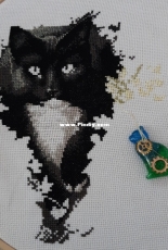 WIP Black and white Cat