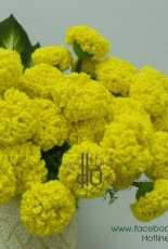 HQ Boutique- Quang Hoang Do- Marigold - Vietnamese