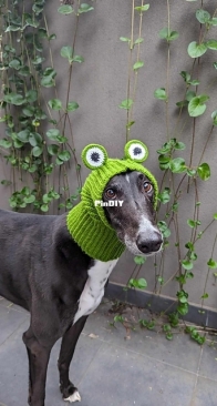 Grey And Crochet - Frog Greyhound Snood - Free