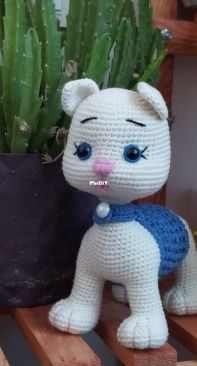 A beautiful cat