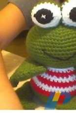 Jenpoali News - Iliana Paola Avelino Navarro - Frog- Spanish - Free