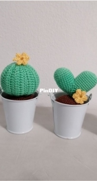 Cactus love