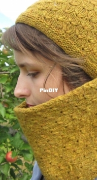 Little Ray Cap and Cowl byPins and String Design - Free