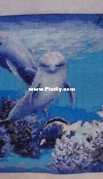 Two dolphins
