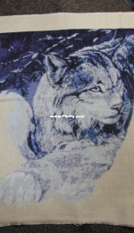 Blue lynx!