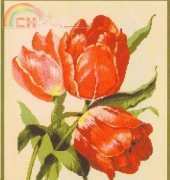 Gamma Home Collection  DK-207 - Red Tulips