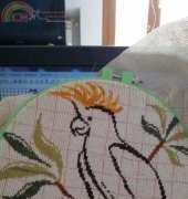 PARROTS