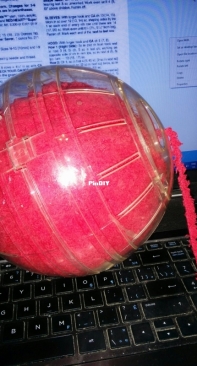 using hamster ball for my yarn