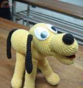 cute dog