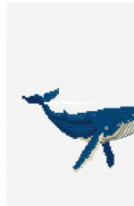 DMC Blue Whale - Free