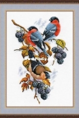 Oven / OBEH / Aries (Овен) 901 Bullfinch and blackberry