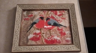 My work "Bullfinch" from Aliexpress