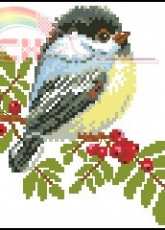 Alisa 1-12 Titmouse pcs