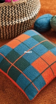 Check It Cushion by Chloe Thurlow - German - French - English