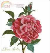 Pinn 17-I Roses Lilian Austin