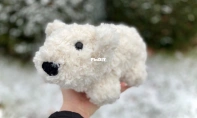 Crafty Kitty Crochet - Melissa Moore - Polar Bear
