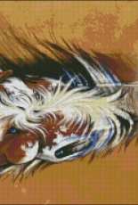 HAED HAESAS 122 Indian Paint by Sandra SanTara