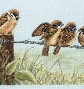 Anchor PCE603 - Birds On A Wire