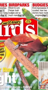 Cage and Aviary Birds - 8 October 2025