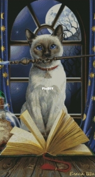 Camelia Design - Magic Cat by Elena Shashnova