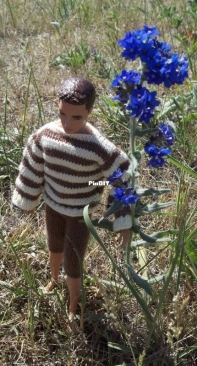 dress up Ken 5