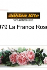 Golden Kite GK2079 La France Roses
