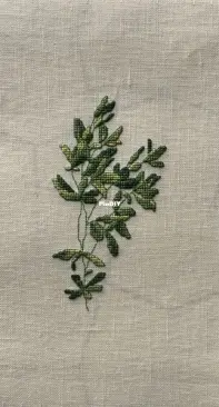 Marie Barber, False Indigo