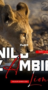 Wild Zambia - Wildlife Icons - March/July 2026