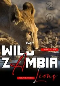 Wild Zambia - Wildlife Icons - March/July 2026