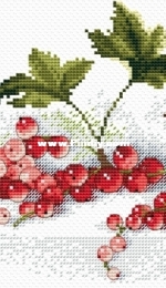 M. P. Studio SM-107 Scarlet Bunch