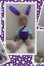 Long-ear bunny