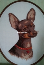 Panna J-1485 Russian Toy Terrier