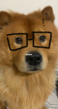 kovu