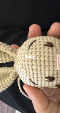 Bunny in work