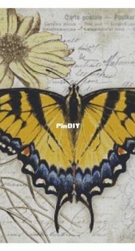 Chimera - Butterfly Vintage 9 by Jane Shasky PCS