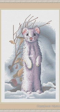 Winter Ermine by Serafima Abramova