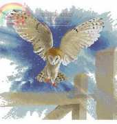Heritage Stitchcraft - Flights of Fancy FFOF483 Owl in Flight by John Clayton XSD