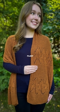 Copper Island Wrap by Plymouth Yarn - Free