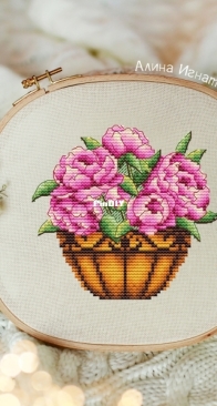 Planters with peonies by Alina Ignatieva / Ignatyeva
