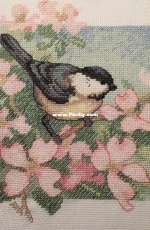 Dimensions 35029 - Birds of Spring