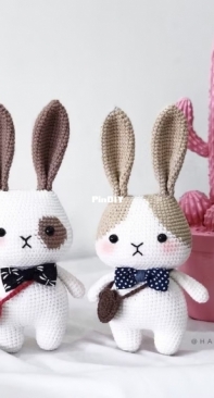Hainchan Design - Hainchan - Hanh Tran - Rey the Little Bunny - Chinese - Translated