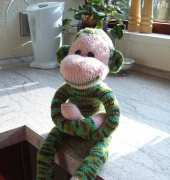 Monkey
