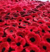 Crochet Poppies 5 versions by Loopy Sue