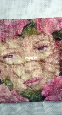 rose tinted qs head