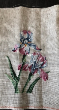 iris