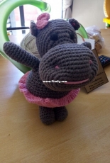 My work, hippo