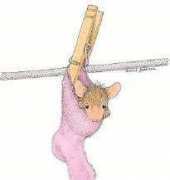 HAED HAEHOM 1012 In a Pinch by Ellen Jareckie, House-Mouse Designs