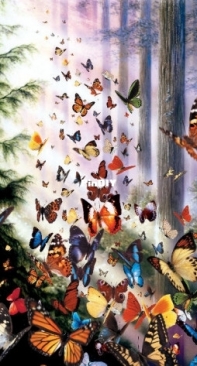 HAED - HAEDAPMINI 1037 Mini Butterfly Woods By David Penfound